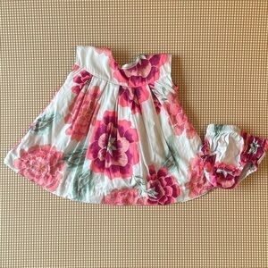 Tea Collection Floral dress w/bloomers. Size 12-18 Months